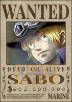 Posters-Wanted Sabo