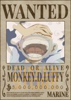 Posters-Wanted Monky.D.Luffy