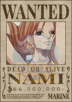 Posters-Wanted Nami